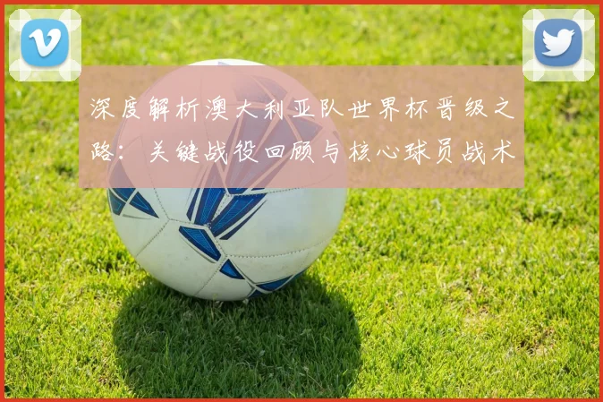 深度解析澳大利亚队世界杯晋级之路：关键战役回顾与核心球员战术作用